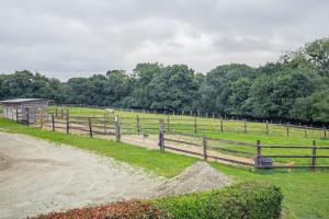 Appartements Le Galop : photos des chambres