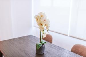 The Millennial Lifestyle Apartment by Amazing Madeira