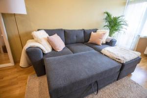 Beautiful & spacious apartment in Valmiera