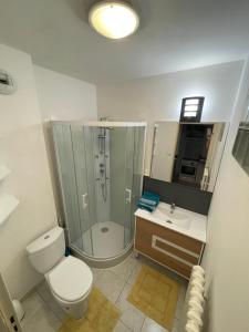 Appartements F1 Terrasse Hydromassage LED, Colmar a 5min, calme : photos des chambres