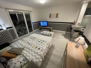 Appartements F1 Terrasse Hydromassage LED, Colmar a 5min, calme : photos des chambres