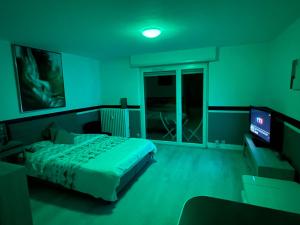 Appartements F1 Terrasse Hydromassage LED, Colmar a 5min, calme : photos des chambres