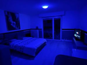 Appartements F1 Terrasse Hydromassage LED, Colmar a 5min, calme : photos des chambres