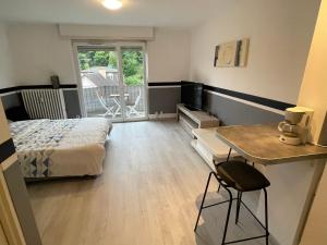 Appartements F1 Terrasse Hydromassage LED, Colmar a 5min, calme : photos des chambres