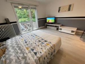 Appartements F1 Terrasse Hydromassage LED, Colmar a 5min, calme : photos des chambres