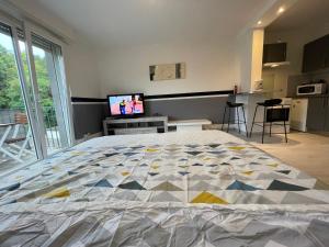 F1 avec Terrasse, 5 min de Colmar, vignoble et free parking