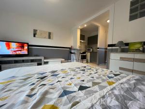 Appartements F1 Terrasse Hydromassage LED, Colmar a 5min, calme : photos des chambres