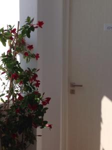 Panorama Hotel Naxos Greece