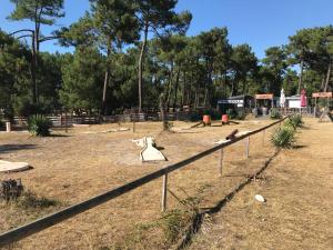 Campings Mobil-Home Camping Club 5* Montalivet : photos des chambres