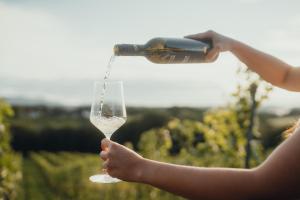 Weinquartier Pichler-Schober