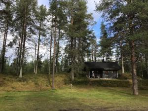 Petäjälammen Turistimajat