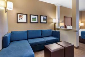 King Suite - Accessible/Non-Smoking room in Comfort Suites Airport-University