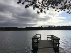 Petäjälammen Turistimajat