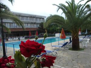 Hotel Pantazis Olympos Greece