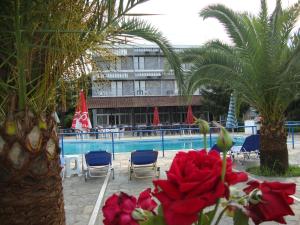 Hotel Pantazis Olympos Greece