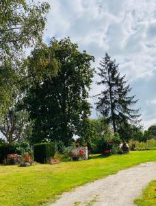 Maisons de vacances LES GITES DU JARIEL : photos des chambres