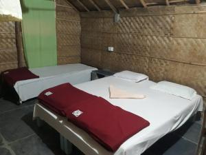 Hampi nature Cottage