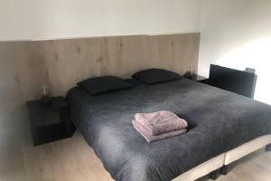 Spacieuse villa avec jardin Deauville centre