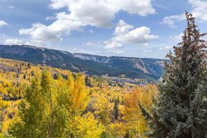 Prime Snowmass Retreat Ski Bridge, Walk To Village - 29c