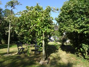 Appartements Moulin de Ringere : photos des chambres