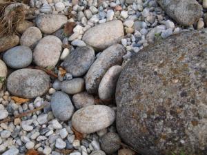 Sejours chez l'habitant Gite Au Jardin : photos des chambres