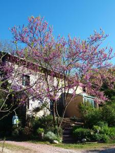 Sejours chez l'habitant Gite Au Jardin : photos des chambres