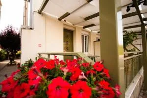 Thalassoperasma - 法纳里恩