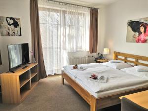 Double or Twin Room with Shower room in Hotel U Brány