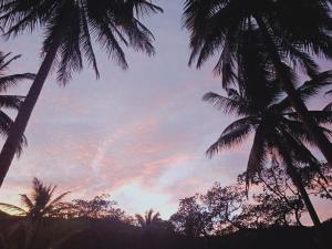 Kiki Coconut Beach Resort