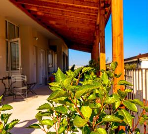 Carolina Hotel since 1934