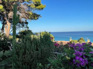 Casa Pinus img19
