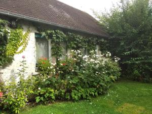 Maisons de vacances La Solitaire : photos des chambres