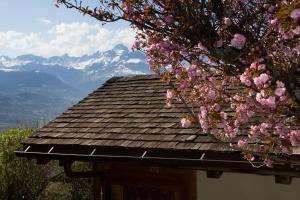 Chalets Chalet cosy proche Tramway du Mont-Blanc et centre : photos des chambres