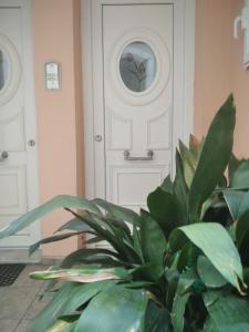 Independant central apartment