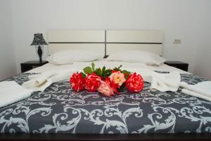 Complex Marinn Costinesti