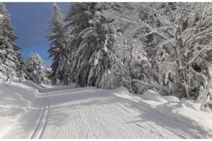 Appartements Parenthese nature : photos des chambres