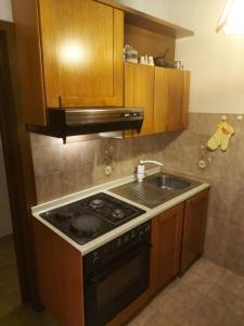 apartman & soba Škarica