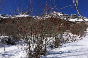 Rustic & A Chalet Le Sert du Grey - Vaujany