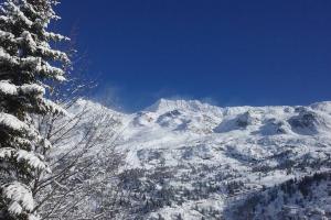 Chalets Rustic & A Chalet 'Le Sert du Grey - Vaujany : photos des chambres