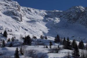 Chalets Rustic & A Chalet 'Le Sert du Grey - Vaujany : photos des chambres