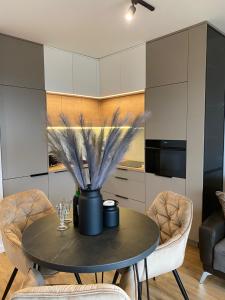 Family & Business Elegant Apartments Kadzielnia, ul Zgody, Stadion Korona, WDK -1 Bedroom, Terrace, Garage - NEW!