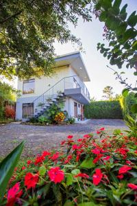 Casa Suculenta ,Monteverde con Jacuzzi Privado y Lavandería
