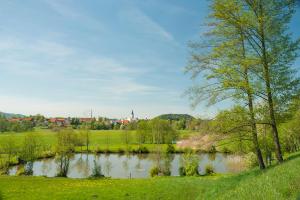 Ferienwohnung Hagner