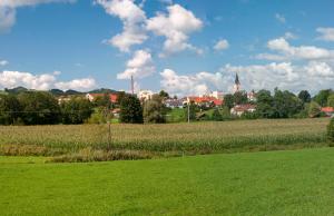 Ferienwohnung Hagner