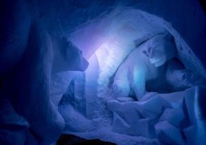 Hotels Village Igloo La Rosiere : photos des chambres