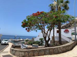 Jumana Apt 107 Gran Canaria