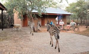 Sondela Nature Reserve & Spa Makhato Lodges