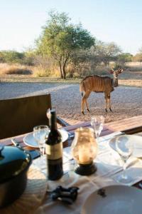 Sondela Nature Reserve & Spa Makhato Lodges