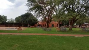 Sondela Nature Reserve & Spa Makhato Lodges