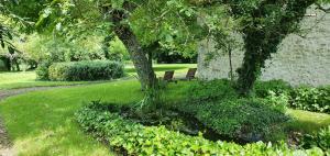 Maisons de vacances Gites a la campagne - La Petite Clavelie : photos des chambres